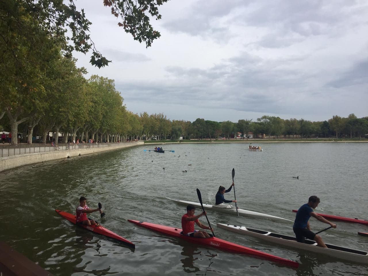 Madrid Bucket List: 10 FREE Things To Do In The City