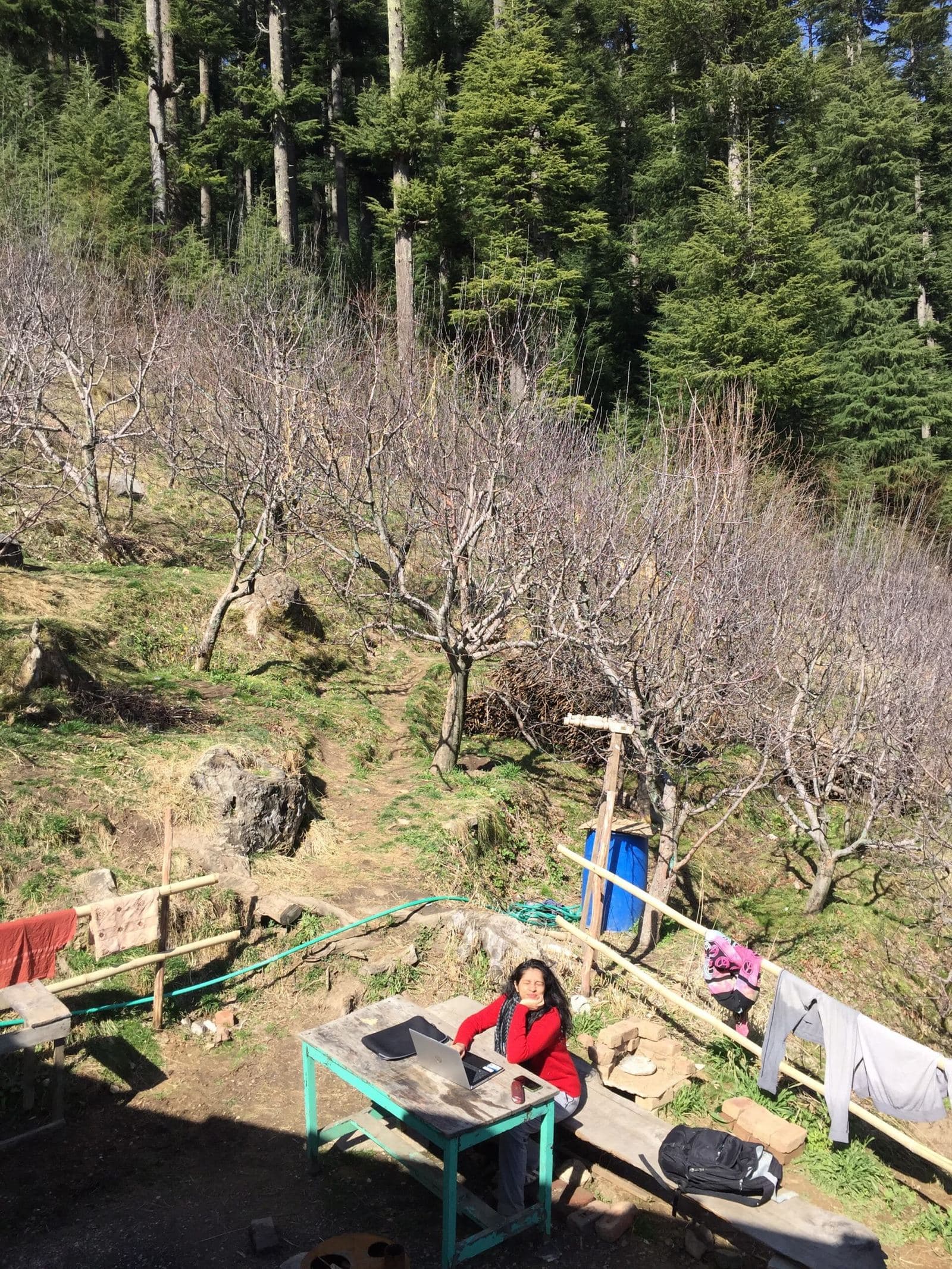 C6 Manali – A home away from home (Offbeat workation in Manali)
