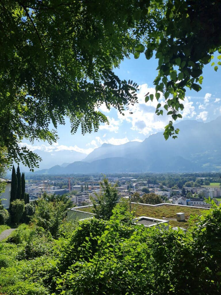 Castle views