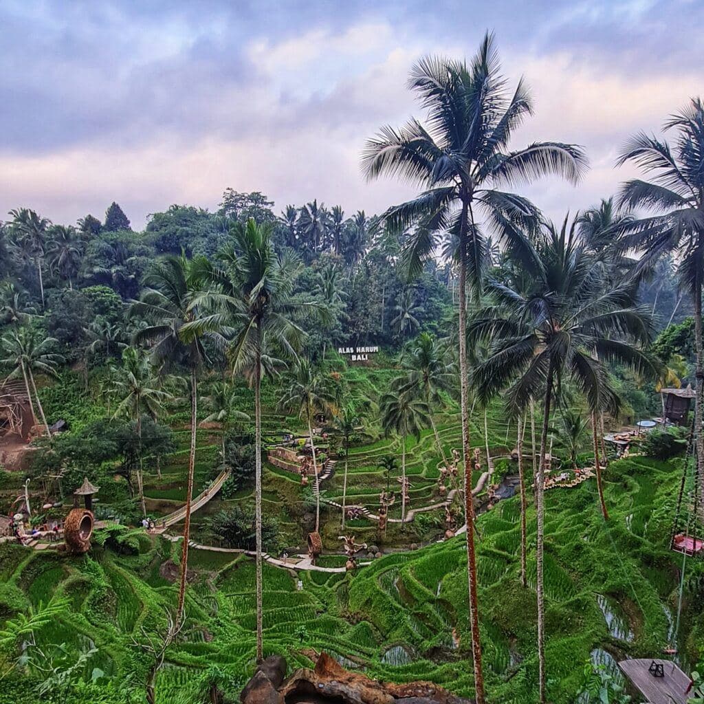 Cretya Ubud