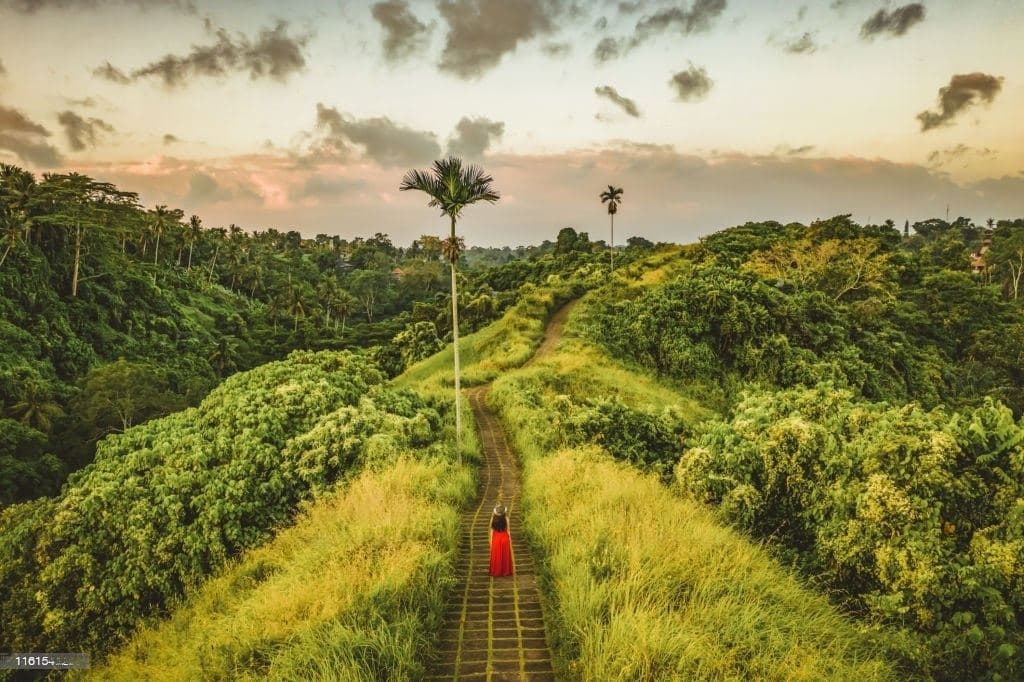 Bali sunsets - Campuhan Ridge Walk