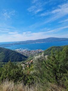 Views while descending