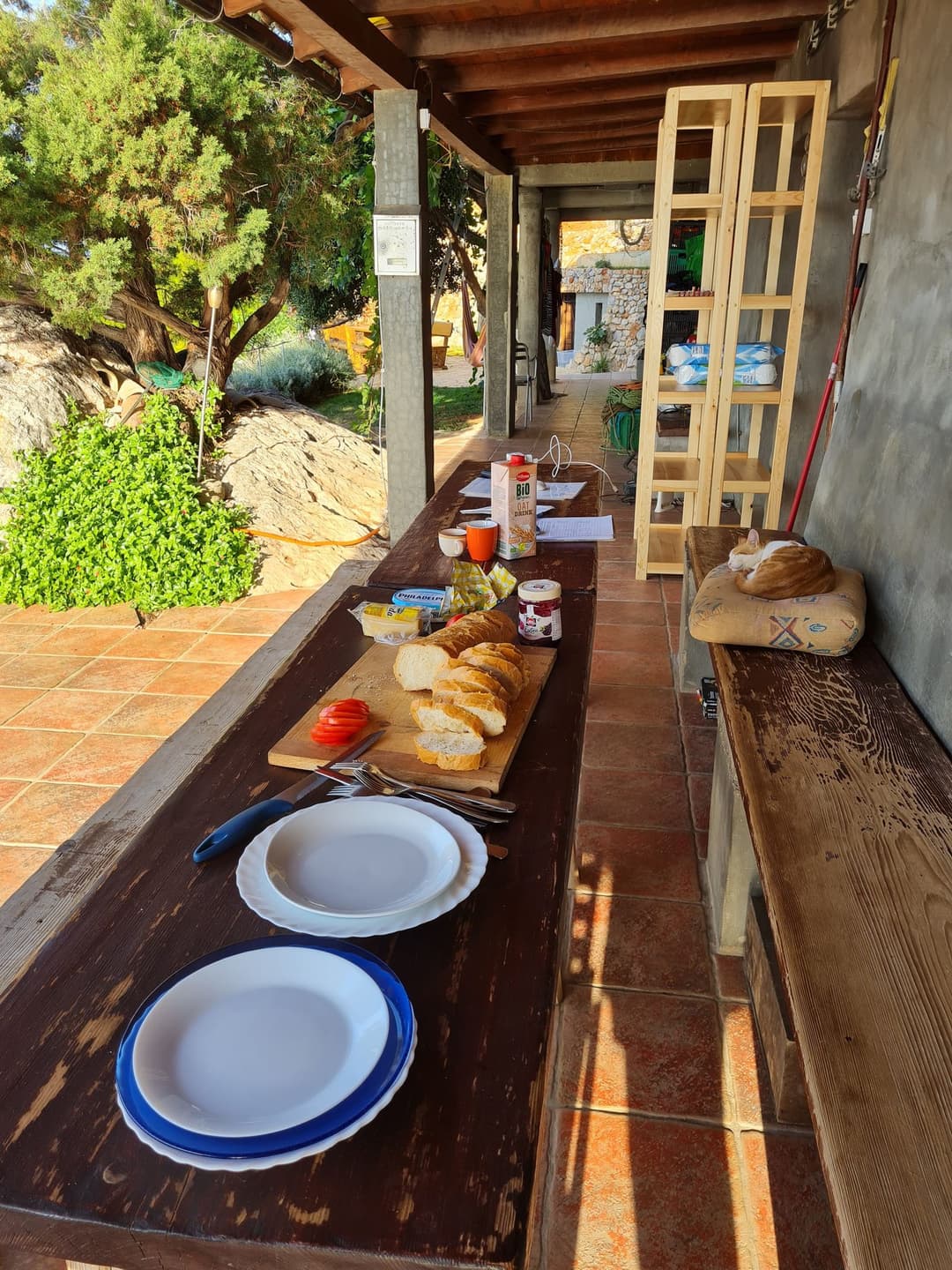 Breakfast table while volunteering in Croatia