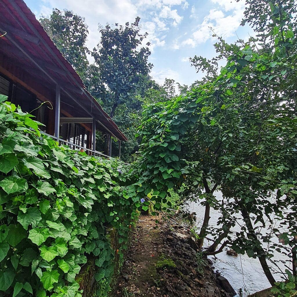 River view cottage