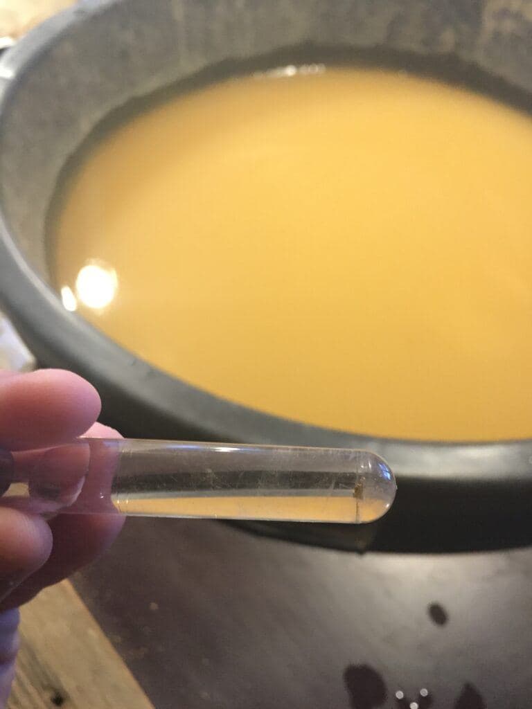 Gold panning in Finland