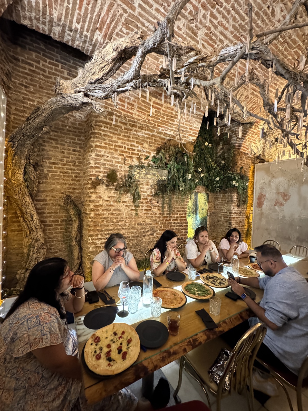 TVT Spain Festival Fam — photo 7